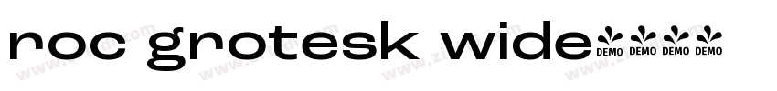 roc grotesk wide字体转换